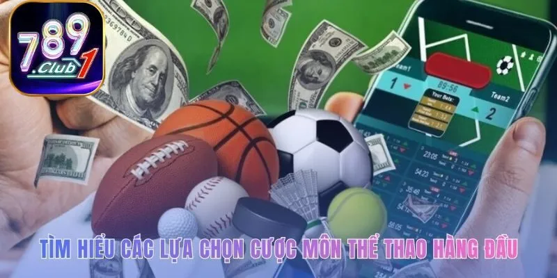 Sảnh cược thể thao đa dạng với bóng rổ tennis và võ thuật